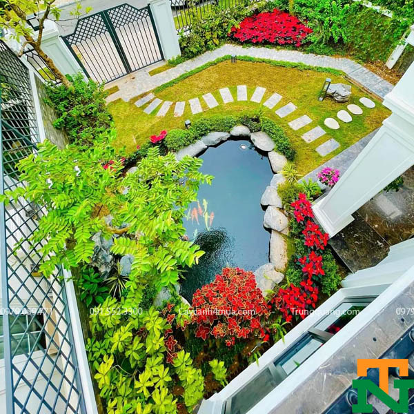 Trồng cây tiểu cảnh sân vườn tại nhà diễn viên Lã Thanh Huyền