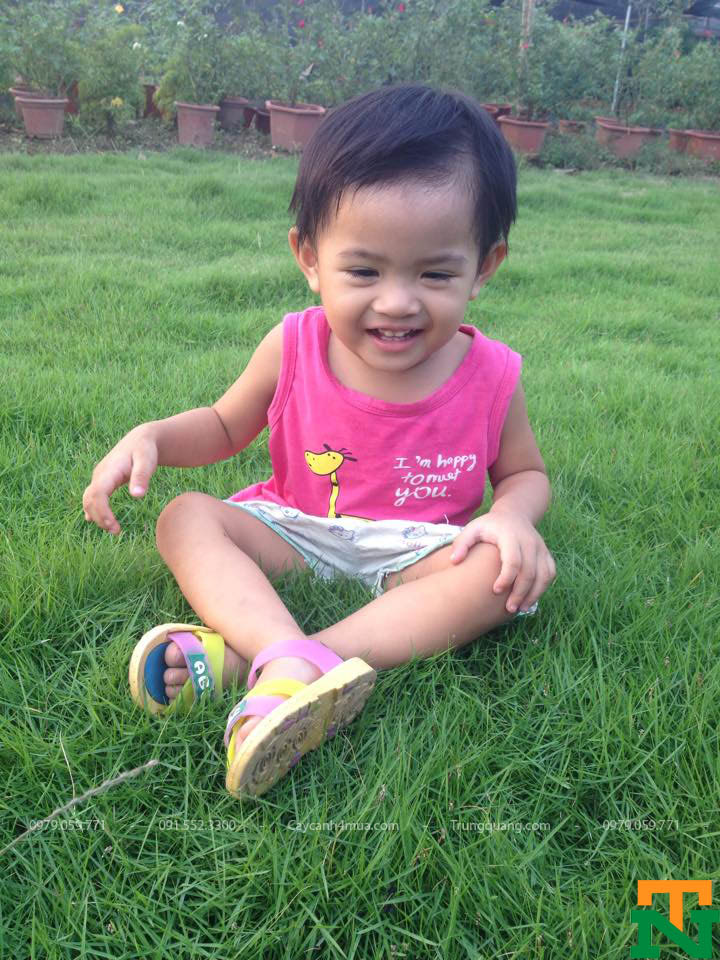 Em bé chơi đùa trên thảm cỏ