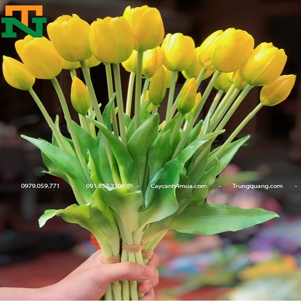 Hoa Tulip giả decor siêu xinh