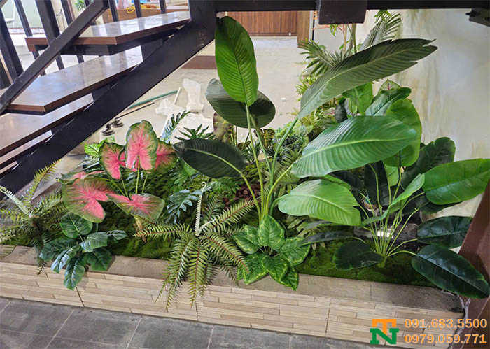 Bồn cây cảnh cành môn cao cấp