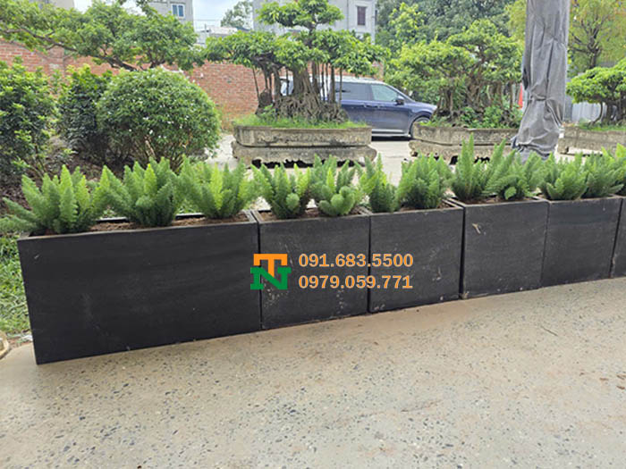 Bồn đá mài trồng cây đuôi chồn