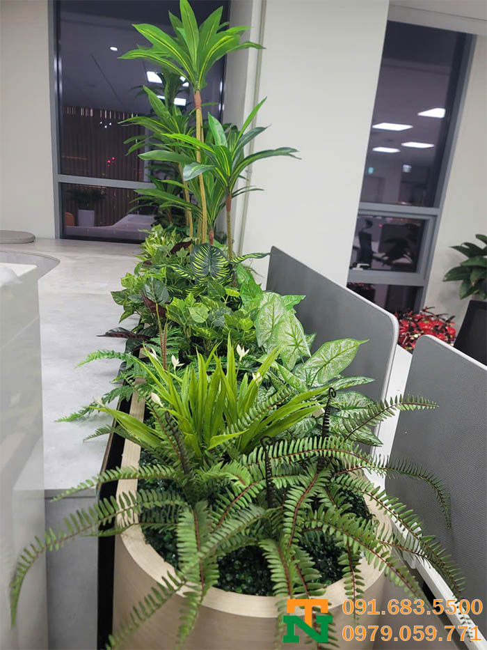 Bồn cây dương xỉ nhân tạo đẹp