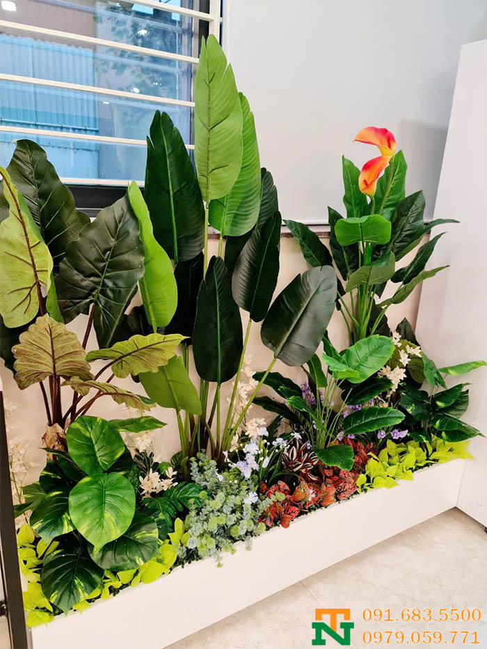 Bồn cây khoai ráy cảnh giả trang trí