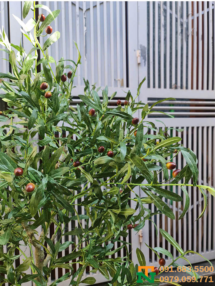 Cành ô liu giả đẹp 