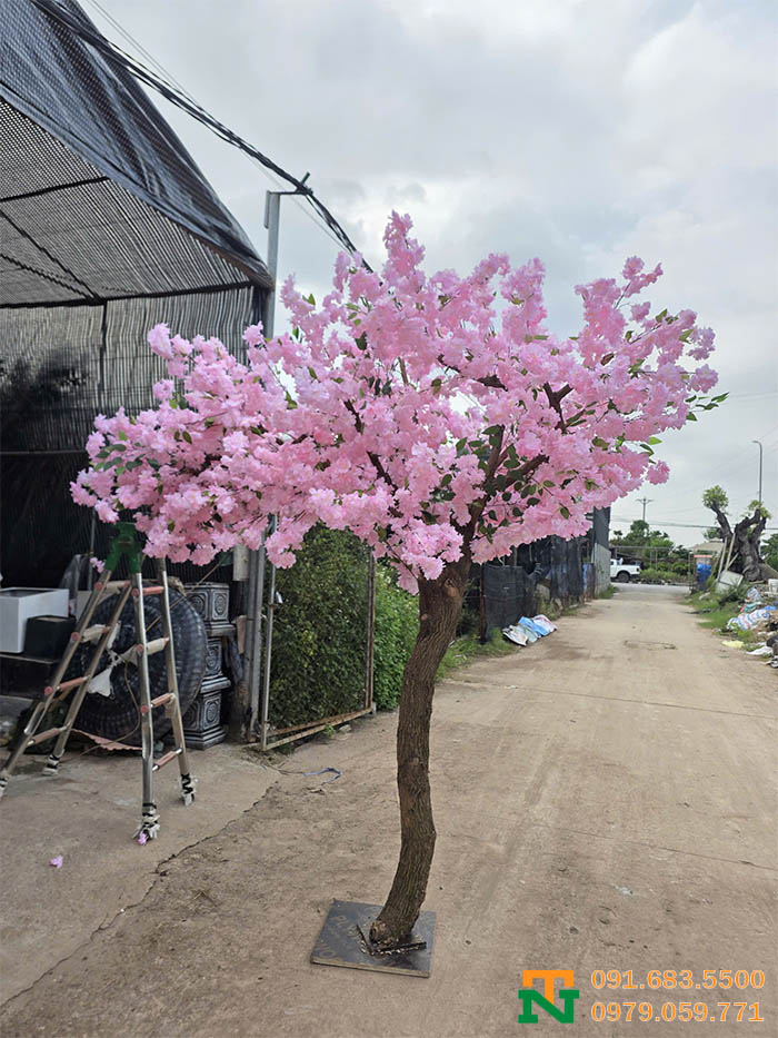Cây anh đào hồng giả decor