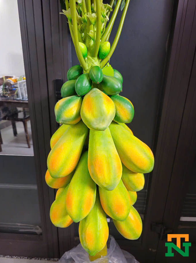 cây đủ đủ giả sai quả