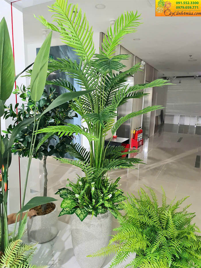 Cây dừa cau đẻ nhân tạo decor