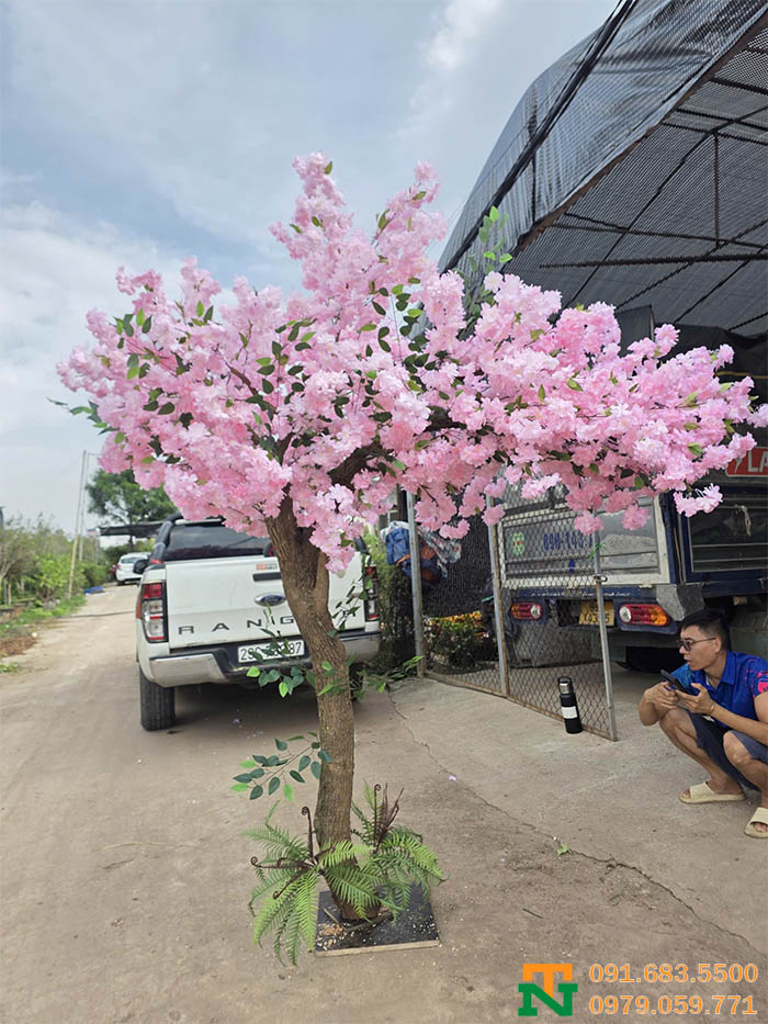 Cây hoa anh đào lụa hồng trang trí