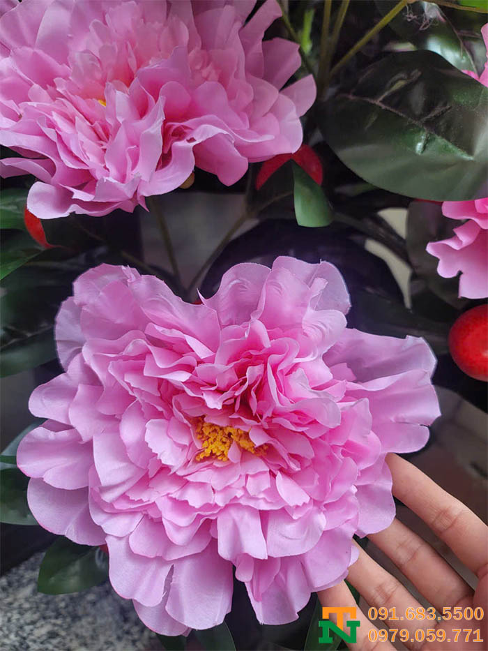 Hoa mẫu đơn hồng nhân tạo