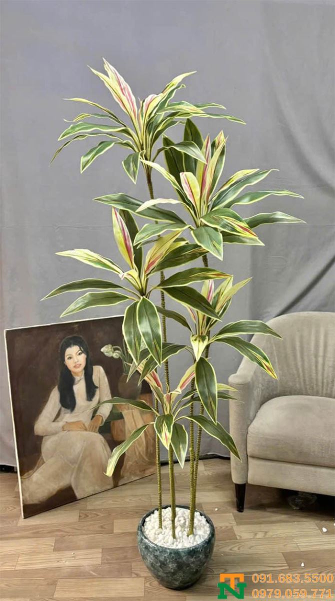 Chậu cảnh cây huyết dụ giả giá tốt