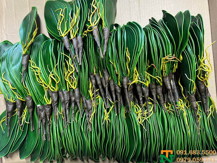 Phụ kiện lá lan rễ to