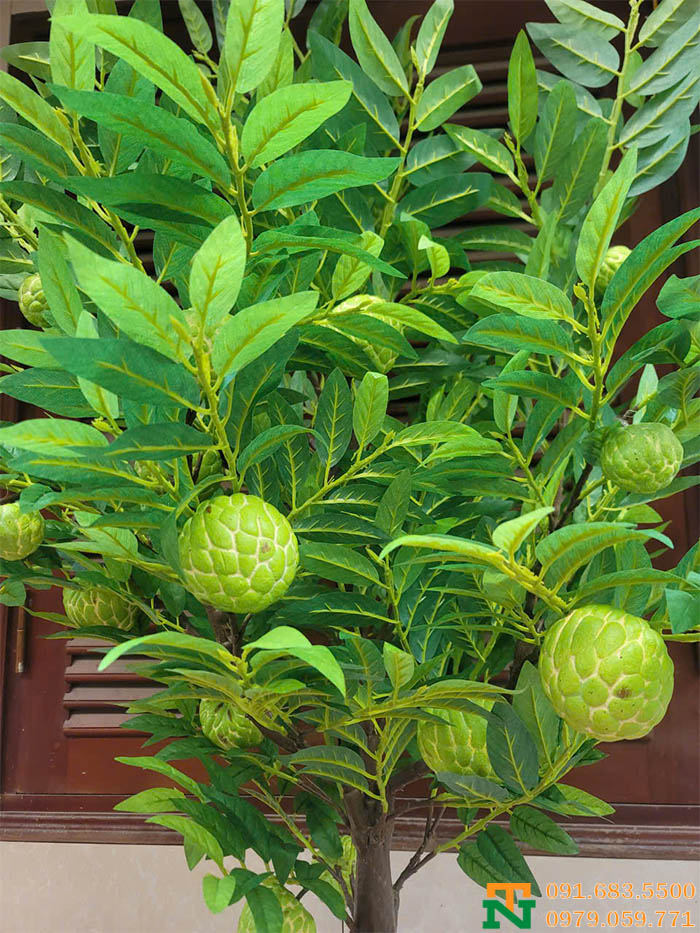Cây na nhân tạo decor đẹp