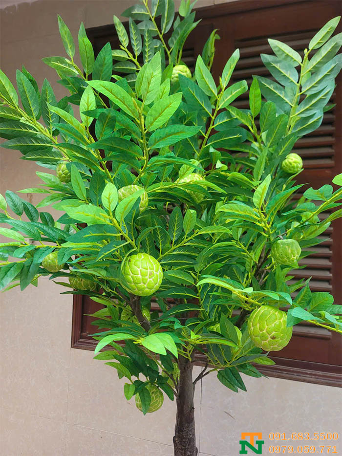 Cây na giả trang trí
