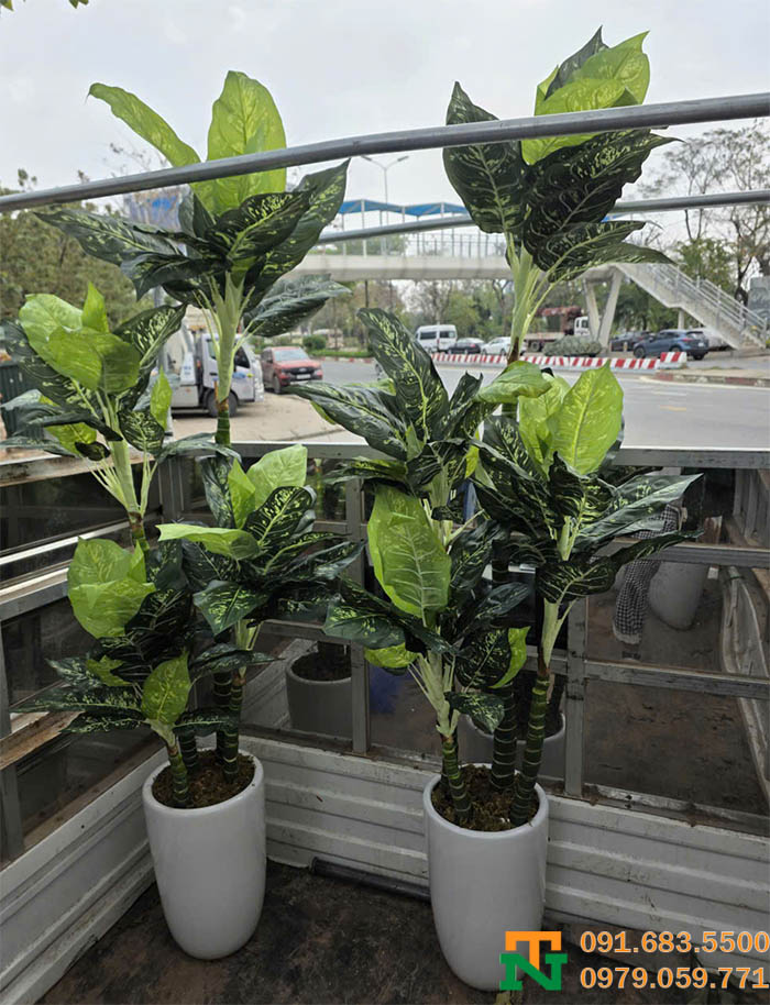 Cây ngân hà nhân tạo đẹp sang