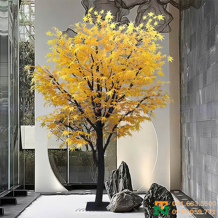 Cây phong lá vàng sang đẹp