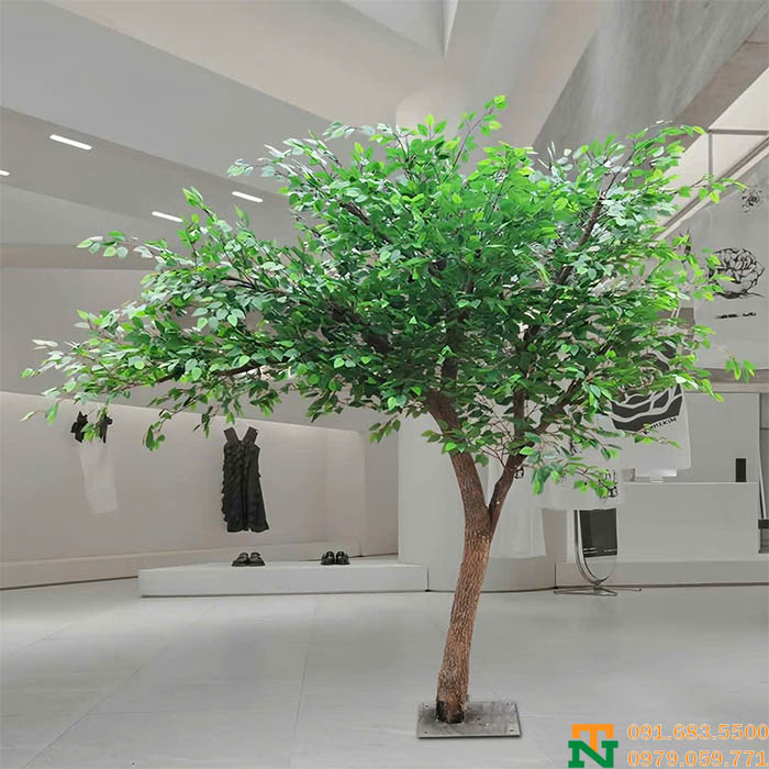 Cây sanh lá giả trang trí văn phòng