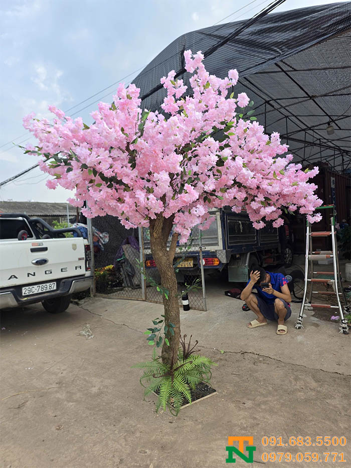 Cây trang trí hoa anh đào hồng