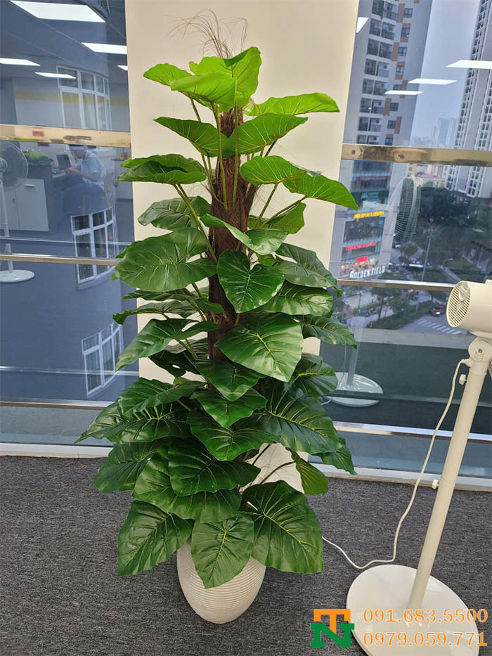 Cây trầu bà cao cấp nhân tạo