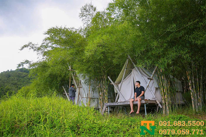 Vườn cây tre tầm vông tự nhiên