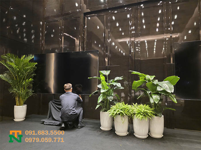 Cho thuê cây cảnh xanh