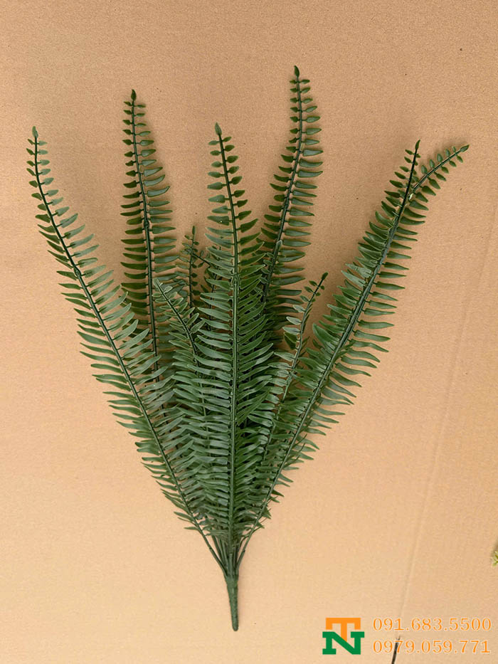 Cụm dương sỉ giả