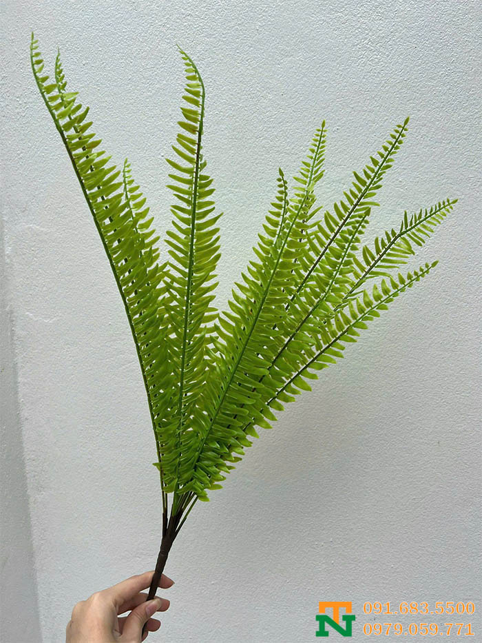 Cụm dương sỉ nhân tạo