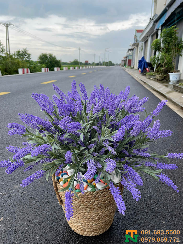 Giỏ hoa oải hương tím đẹp