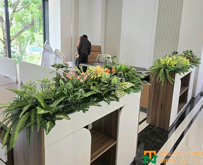 Hộc cây giả văn phòng tại Hồ Tây