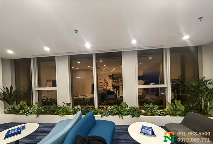 Decor hộc cây văn phòng 