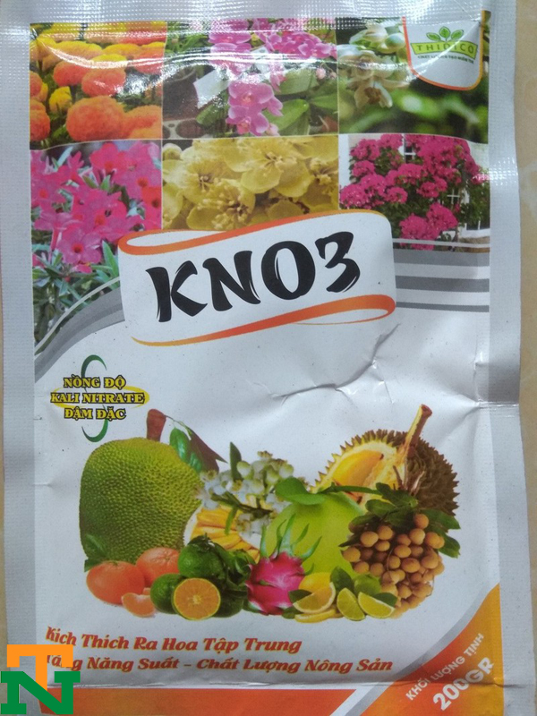 Phun KNO3 cho cây trong giai đoạn trước có hoa và sau khi có quả để đạt hiệu quả tốt nhất.