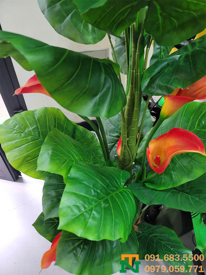 Lá cây hoa rum giả trang trí