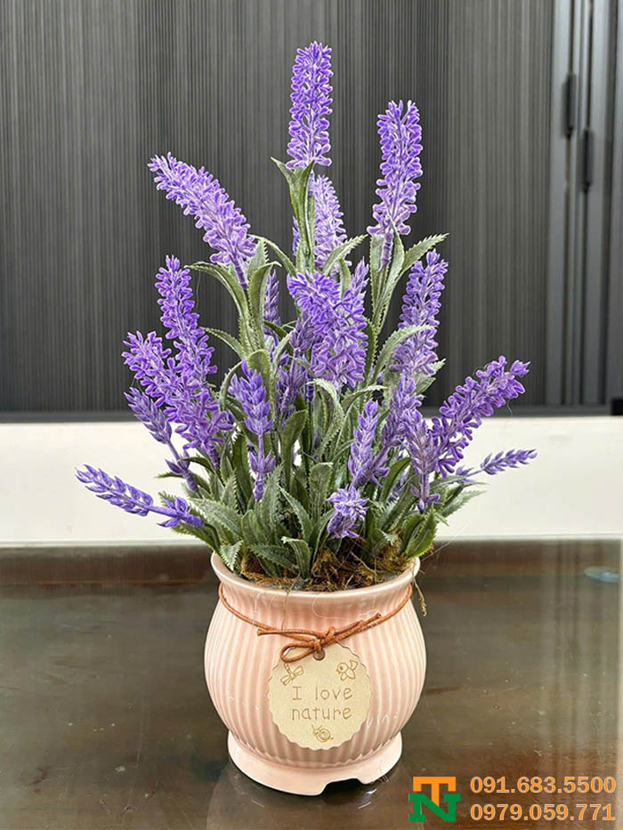 Lọ hoa oải hương nhân tạo sang