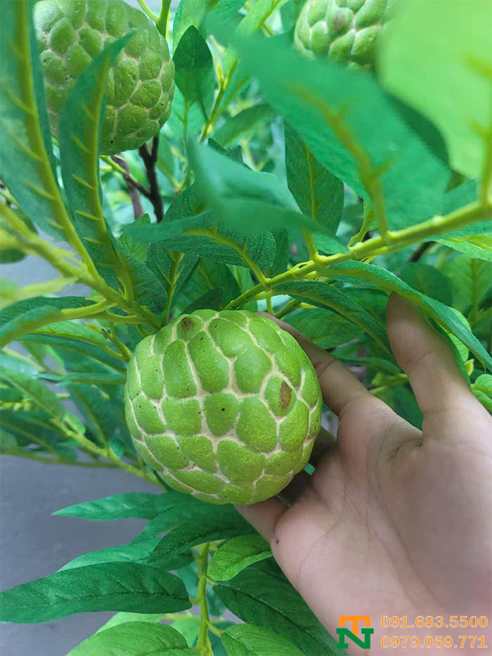 Na giả quả to đẹp 