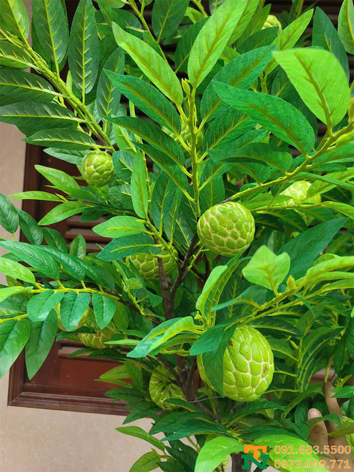 Cây na nhân tạo đẹp trang trí