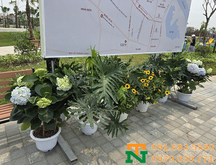 Set-up bằng các chậu hoa tươi tự nhiên