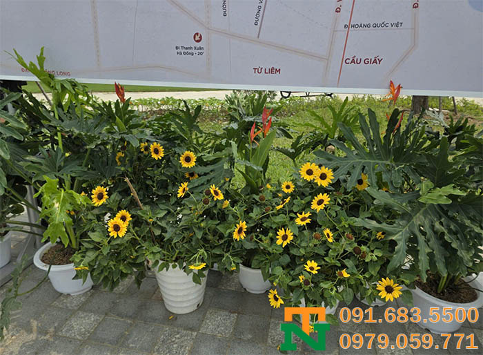 Set-up tận nơi giá rẻ, sang trọng