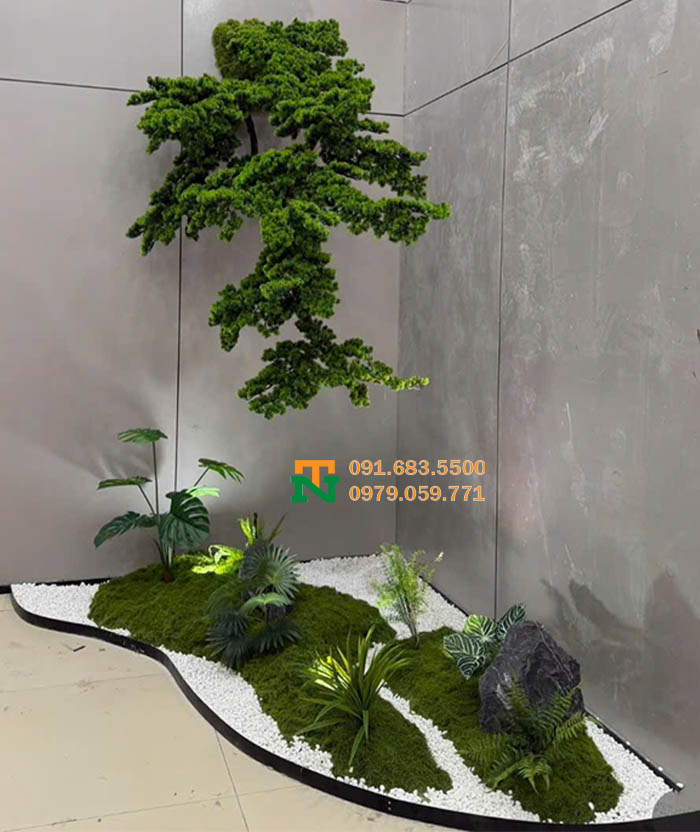 Setup cây tùng la hán đẳng cấp