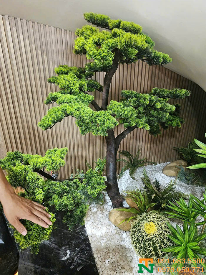 Setup tùng la hán và tiểu cảnh gầm cầu thang