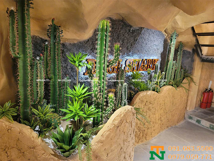 Setup cây xương rồng rạp chiếu phim