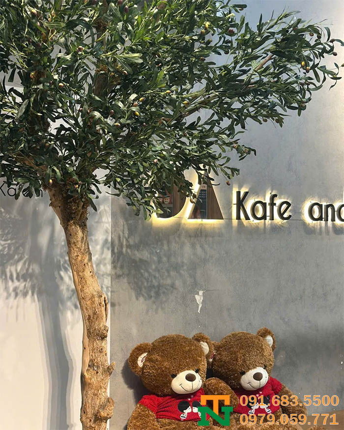 Thân cây ô liu giả