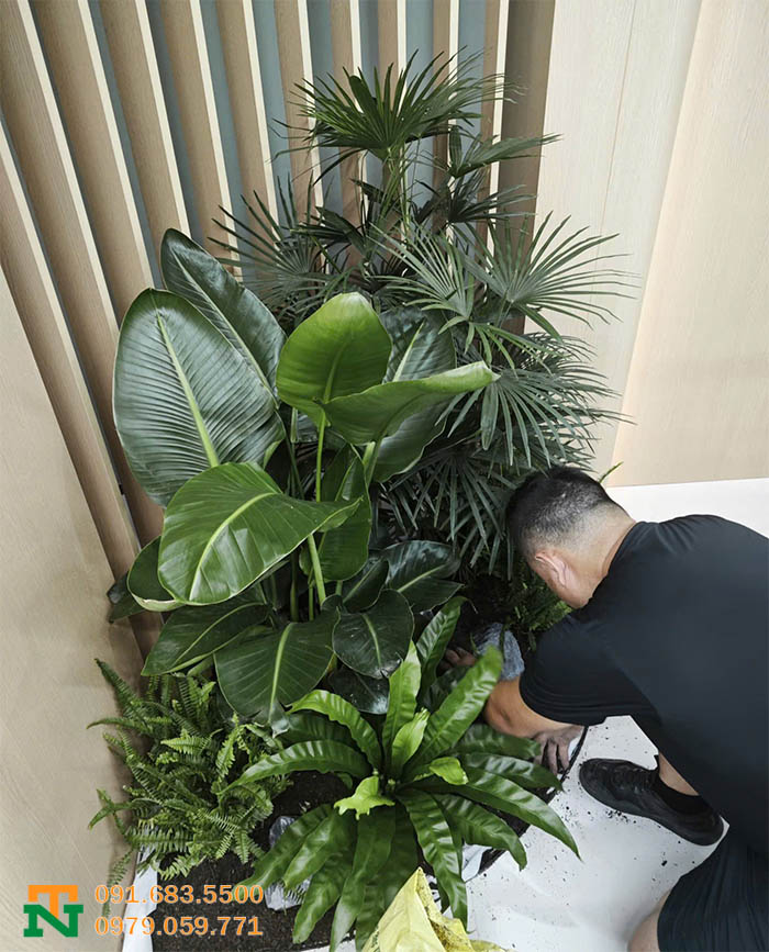 Thi công bồn cây văn phòng