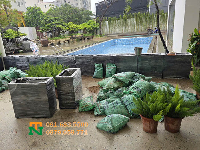 Thi công chậu đá mài trồng cây đuôi chồn