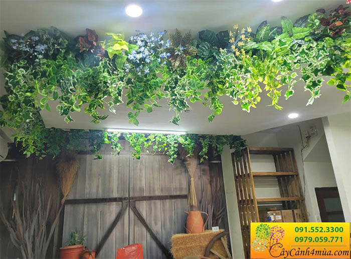 Trang trí văn phòng bằng cành rủ thường xuân và trầu bà giả