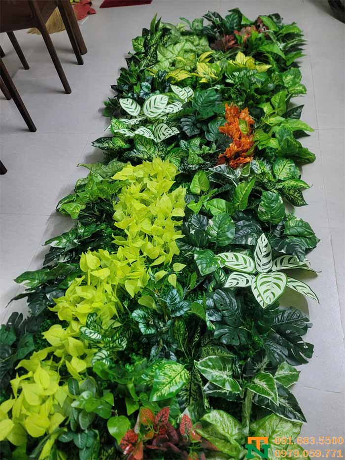 Tường cây xanh nhân tạo cap cấp