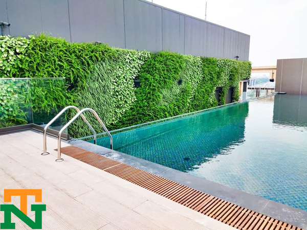 Vườn tường đứng giúp thanh lọc không khí giảm nhiệt cho hồ bơi